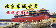 69XX男人操女人骚逼中国北京-东城古宫旅游风景区